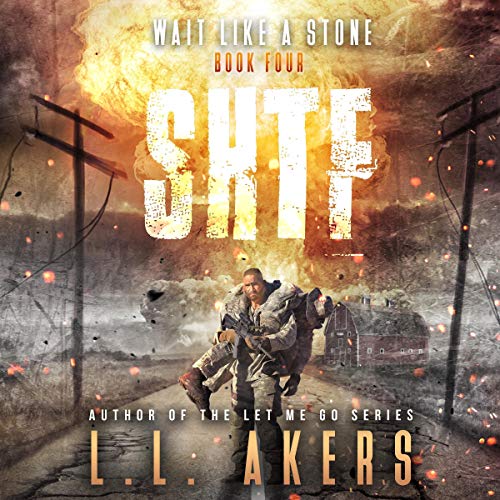 Wait like a Stone by L.L. Akers