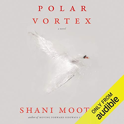 Polar Vortex by Shani Mootoo