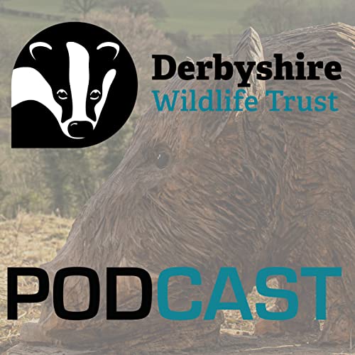 Derbyshire Wildlife Trust Podcast by Derbyshire Wildlife Trust