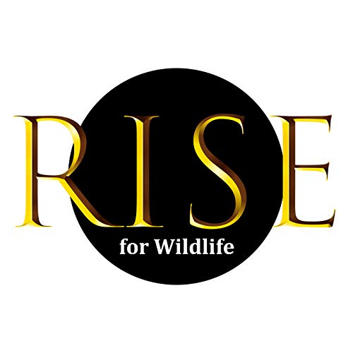 RISE for Wildlife by Anna Vanover
