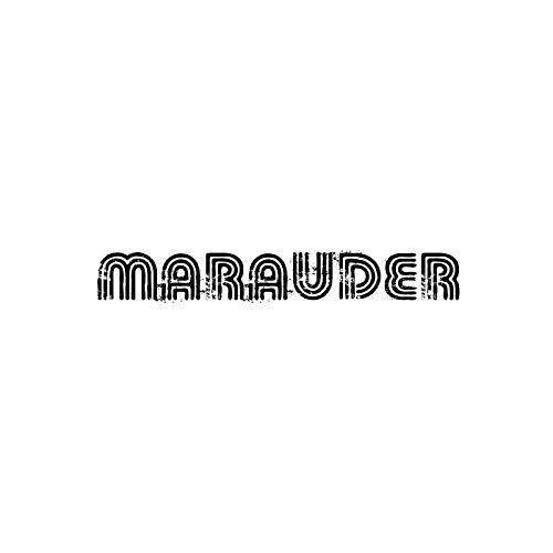 MARAUDER MUSIC : THE BEST IN DEEP JAZZ, HOUSE, AFRO-LATIN, FUTURE FUNK & MORE MIXED BY DON-RAY by Don-Ray & Fam