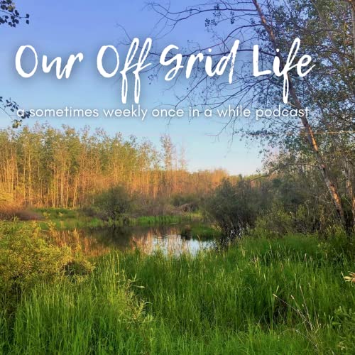 Our Off Grid Life by Taylor Toft