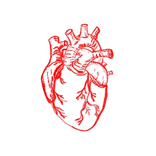 Integrative Computational Modeling of Calcium Handling and Cardiac Arrhythmias by Henry Sutanto