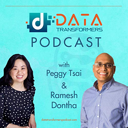 Data Transformers Podcast by Data Transformers Podcast