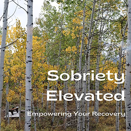 Sobriety Elevated by James Pehkonen and Kevin Thole