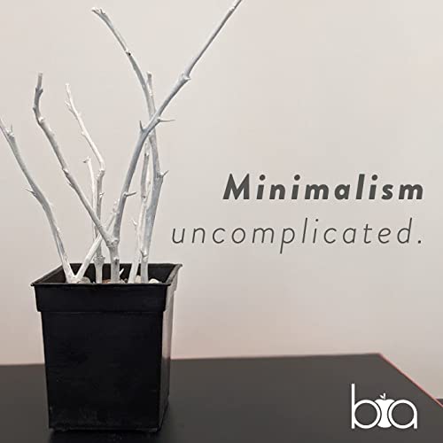 Minimalism Uncomplicated by Bitten Apple Studio