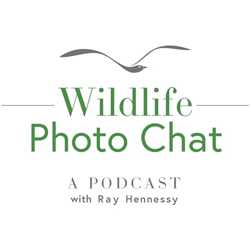 Wildlife Photo Chat by Ray Hennessy
