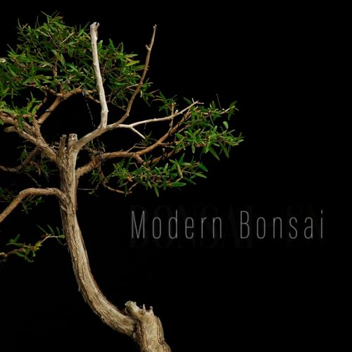 Modern Bonsai