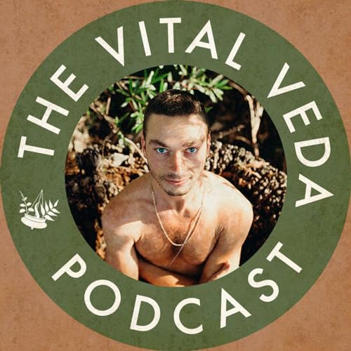 The Vital Veda Podcast: Ayurveda | Holistic Health | Cosmic and Natural Law by Dylan Smith: Ayurvedic Practitioner Holistic Health Educator Conscious Entrepreneur