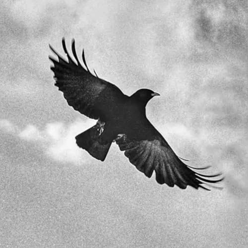 The Ghosts of Harrenhal: A Song of Ice and Fire Podcast (ASOIAF) by A Game of Thrones | House of the Dragon