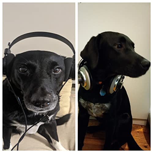 The Podcasting Guild: Babylon 5 by The Podcasting Guild