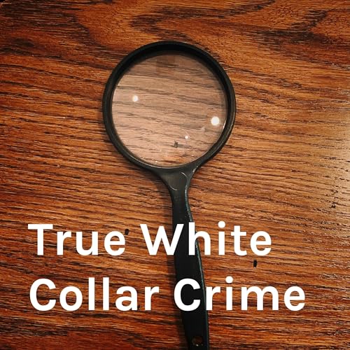 True White Collar Crime by Sean McKenna