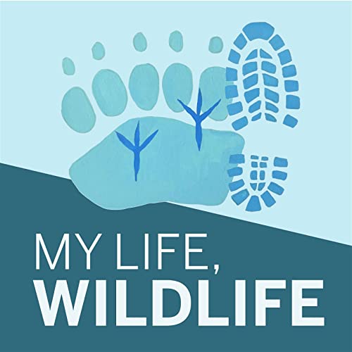 My Life, Wildlife by Kristopher Pacheco