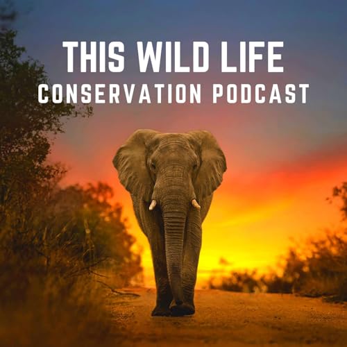 This Wild Life Conservation Podcast by Amy Turner