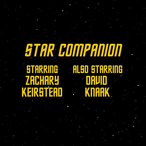 The Star Companion - Trekking Through Star Trek One Voyage at a Time by David Knaak and Zachary Keirstead