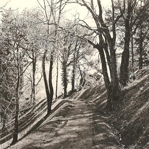 Ethics-Talk: The Greatest Good of Man is Daily to Converse About Virtue by Ethics-Talk