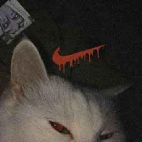 MEGA FUNK SC by MEGAFUNK SC