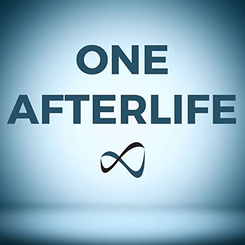 One Afterlife: Near Death Experiences and The Big Picture by One Afterlife 