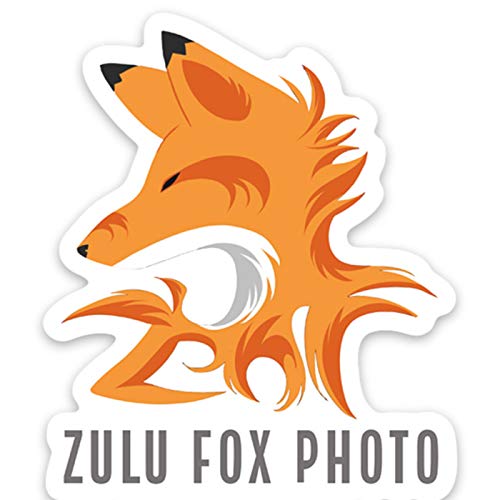 Zulu Fox Photo by Unknown