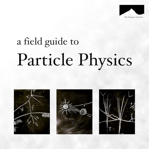 The Field Guide to Particle Physics by Sean Downes