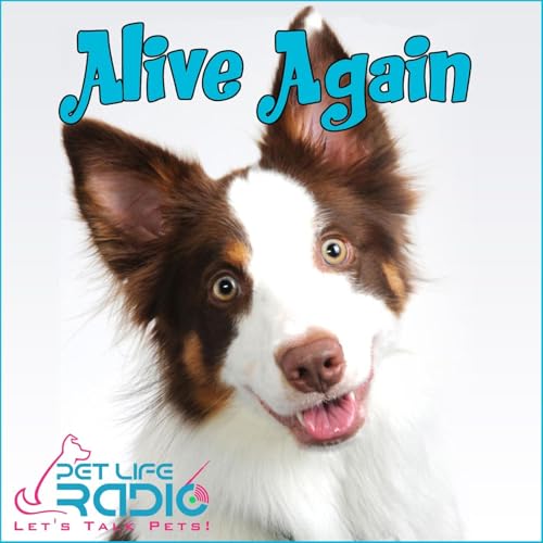 Alive Again - Pet Reincarnation on Pet Life Radio
