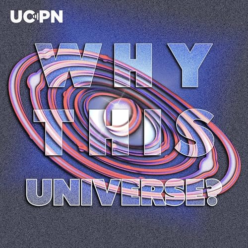 Why This Universe? by Dan Hooper Shalma Wegsman