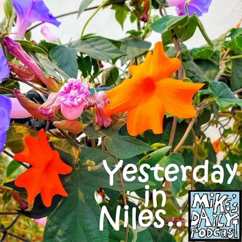 Polished! by Unknown