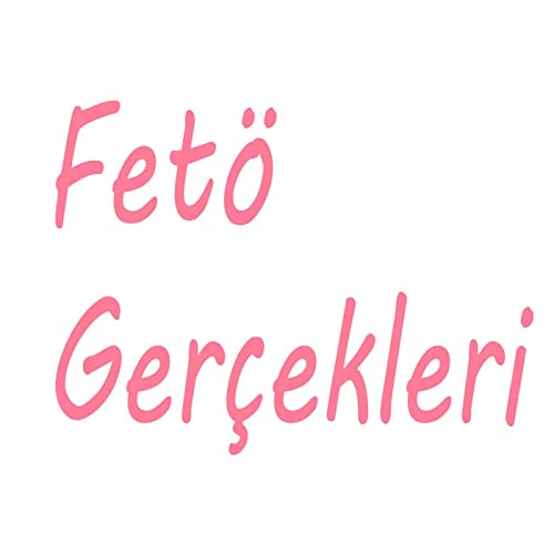 Fetö Gerçekleri by Gökhan Şentürk