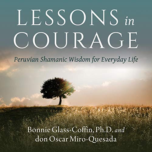 Lessons in Courage by Bonnie Glass-Coffin