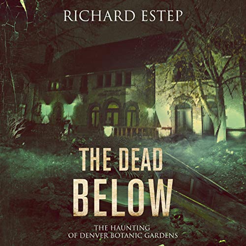 The Dead Below by Richard Estep
