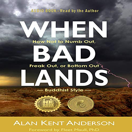 When Bad Lands by Alan Kent Anderson