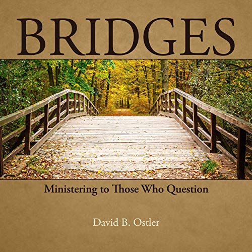 Bridges by David B. Ostler
