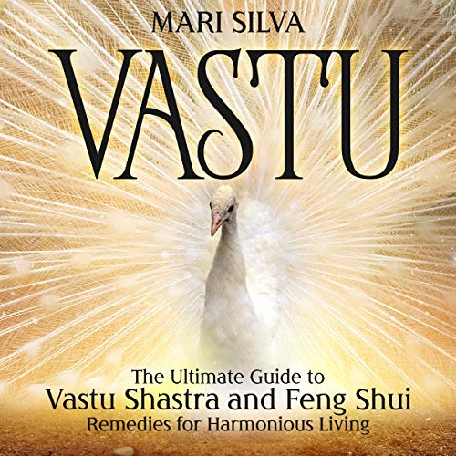 Vastu by Mari Silva