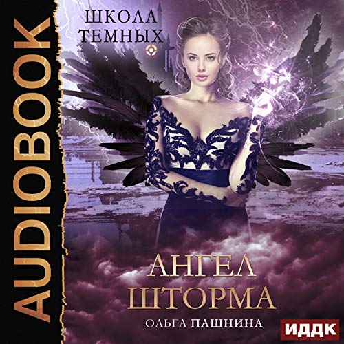 Школа темных. Ангел шторма [School of the Dark: Angel of the Storm]