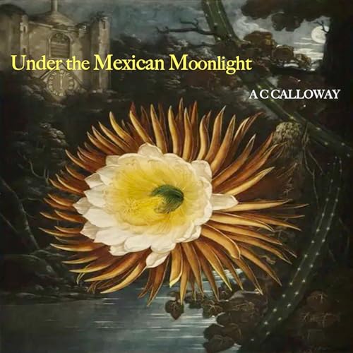 Under the Mexican Moonlight by A.C. Calloway