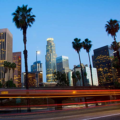 SAN FRANCISCO MAN SENTENCED TO PRISON FOR EMBEZZLING $20 MILLIUON OF ICO INVESTORS FUNDS1 by Unknown