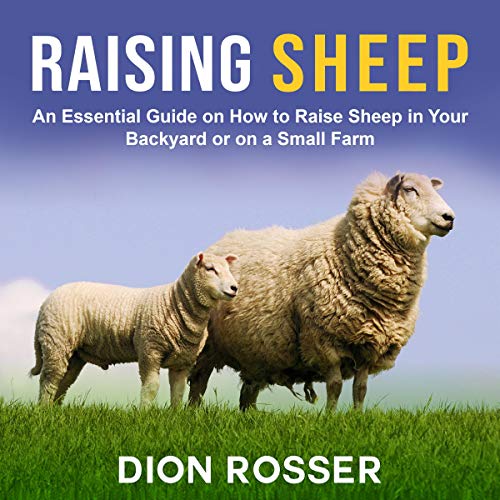 Raising Sheep by Dion Rosser
