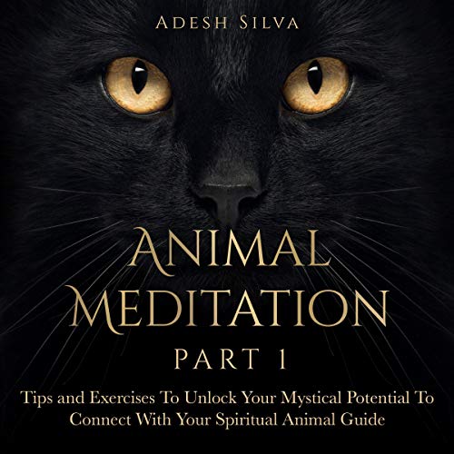 Animal Meditation Part One
