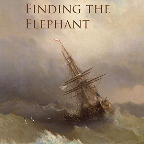 Finding the Elephant by Stuart J Kamille