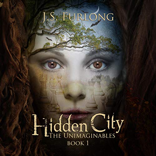 Hidden City by J.S. Furlong