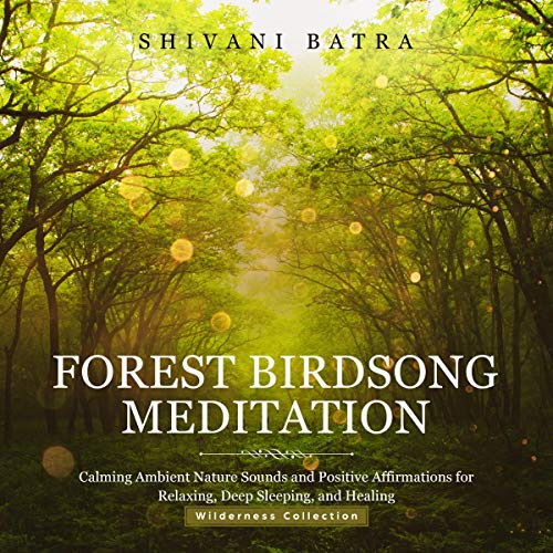 Forest Birdsong Meditation