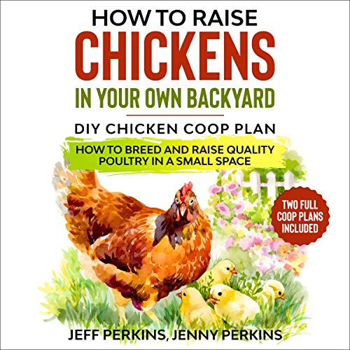 How to Raise Chickens in Your Own Backyard
