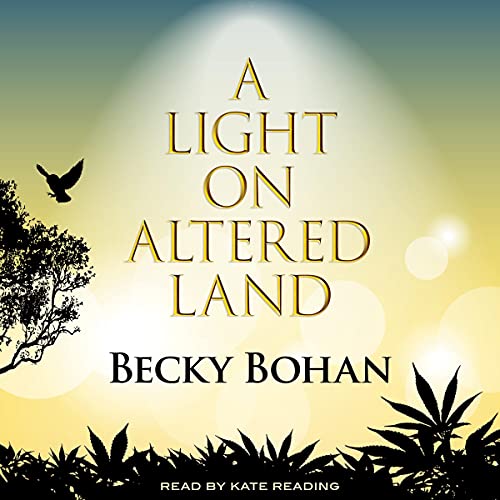 A Light on Altered Land by Becky Jean Bohan