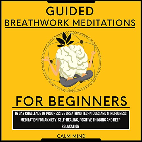 Guided Breathwork Meditations for Beginners