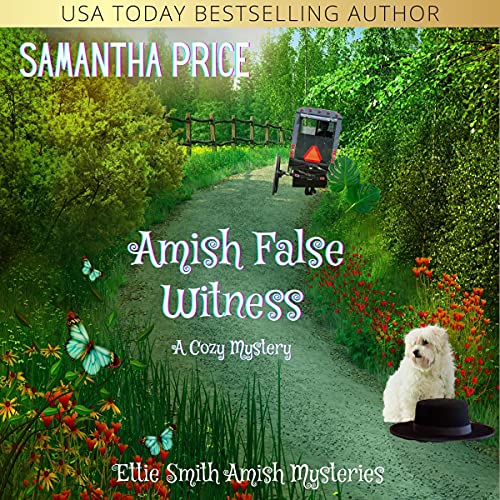 Amish False Witness by Samantha Price
