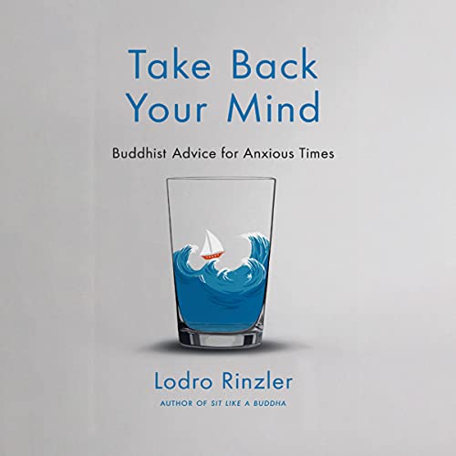 Take Back Your Mind by Lodro Rinzler