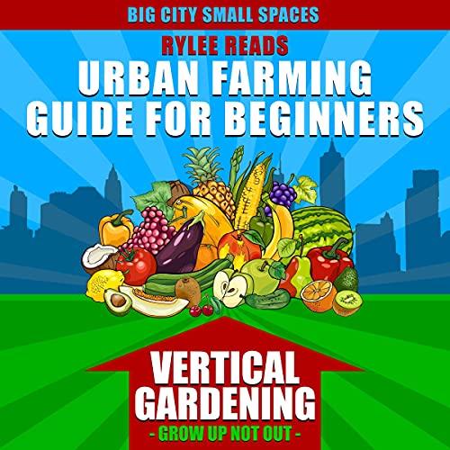 Big City Small Spaces