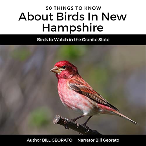 50 Things to Know About Birds in New Hampshire: Birds to Watch in the Granite State