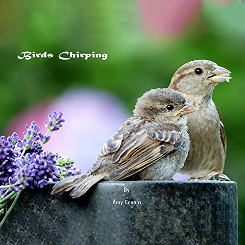 Birds Chirping