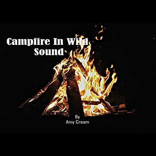 Campfire in Wild Sound